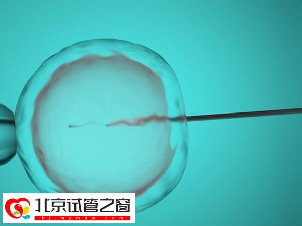 取卵后艾灸不止能促进新陈代谢，提高免疫力也是好处之一