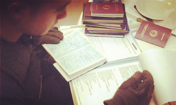 nt检查如何判断男女？nt数值能看男女吗？(图1)